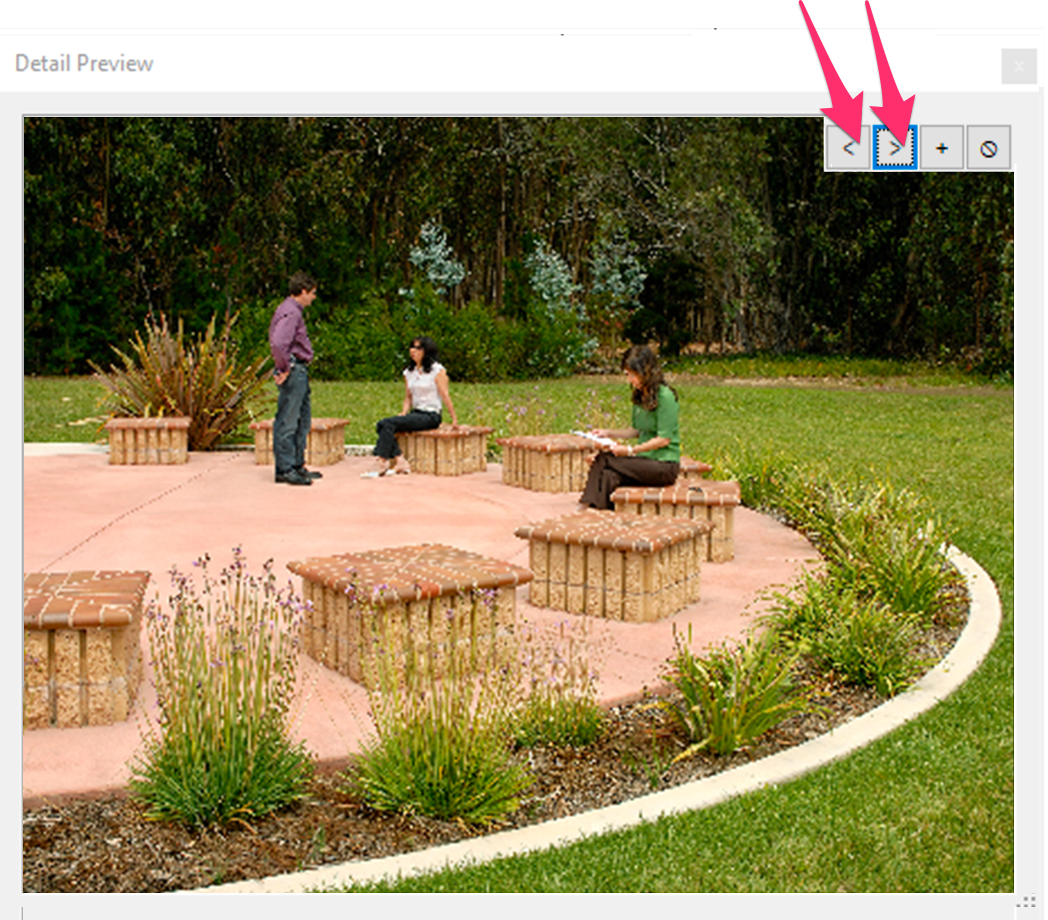 Arrow buttons to toggle between detail preview and photo