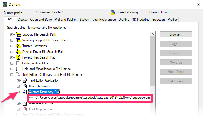 Options dialog box, Files tab, Custom Dictionary entry