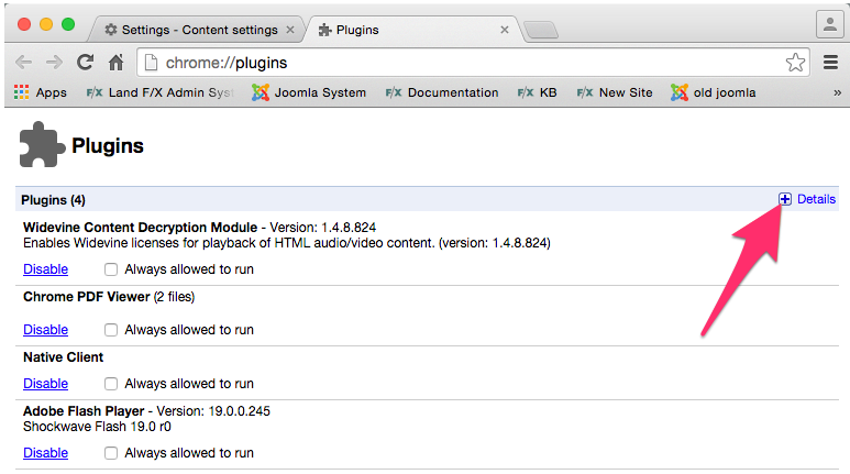 Chrome Settings Plugins window, clicking the plus sign to the left of the word Details