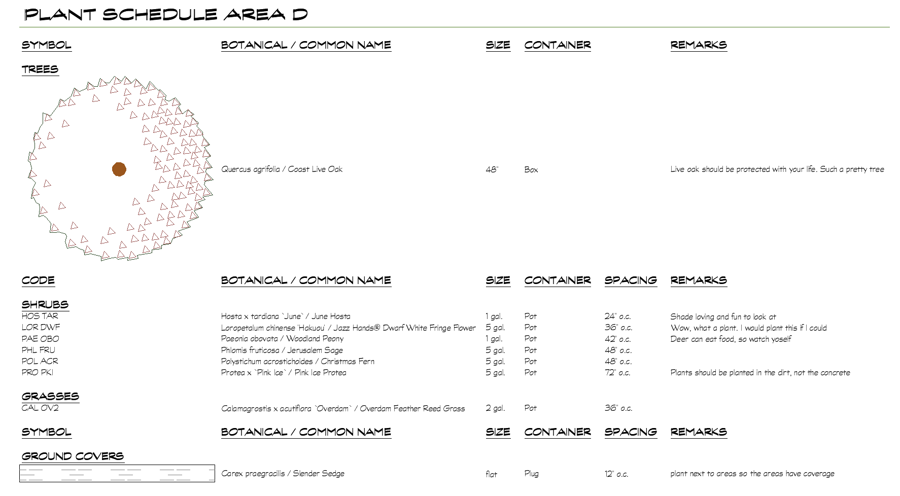 Plant Schedule settings, example 6, resulting schedule