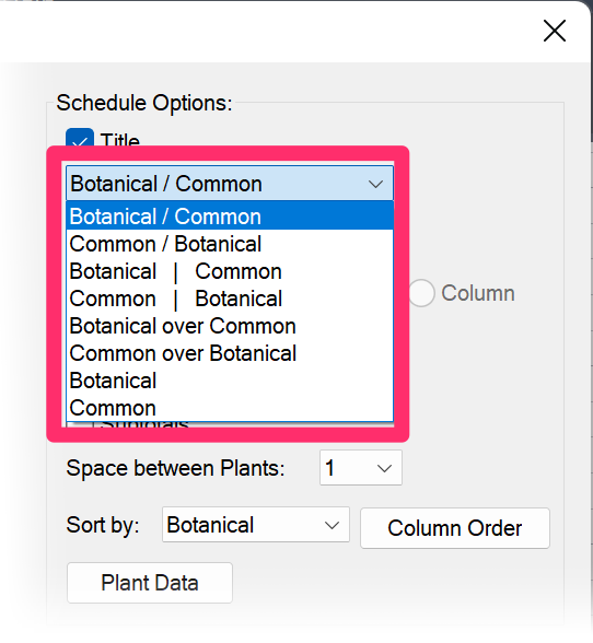 Display Options