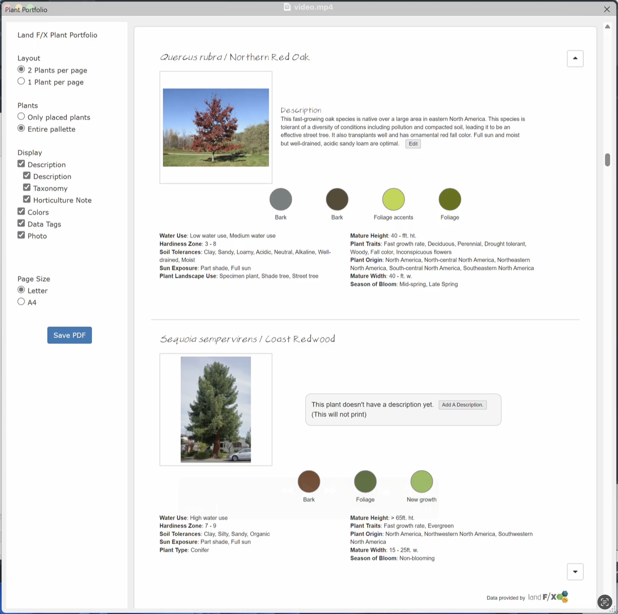 Power Tip: Simplify Your .DWT Template