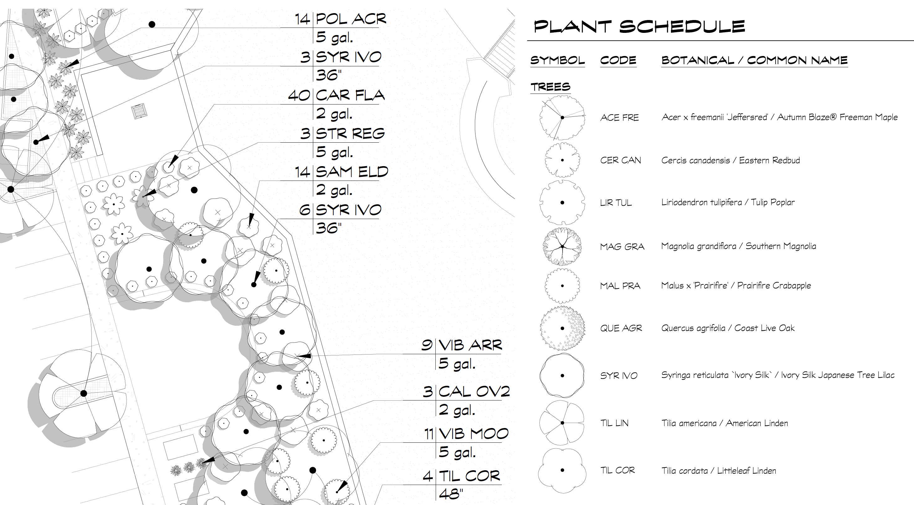 Example of Plant Shadows showing in a plan but not in the Plant Schedule