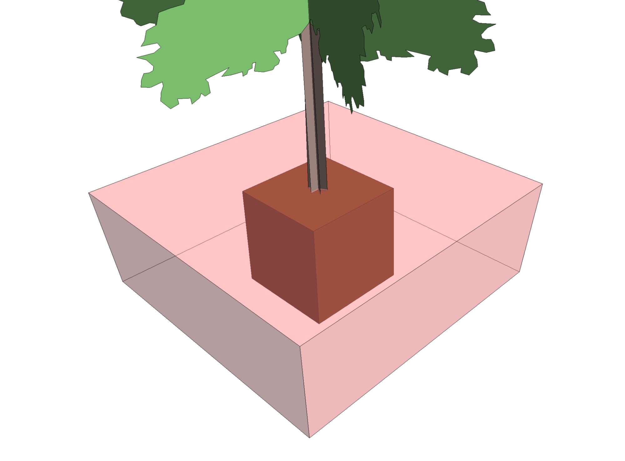 Example of a 2D box rootball