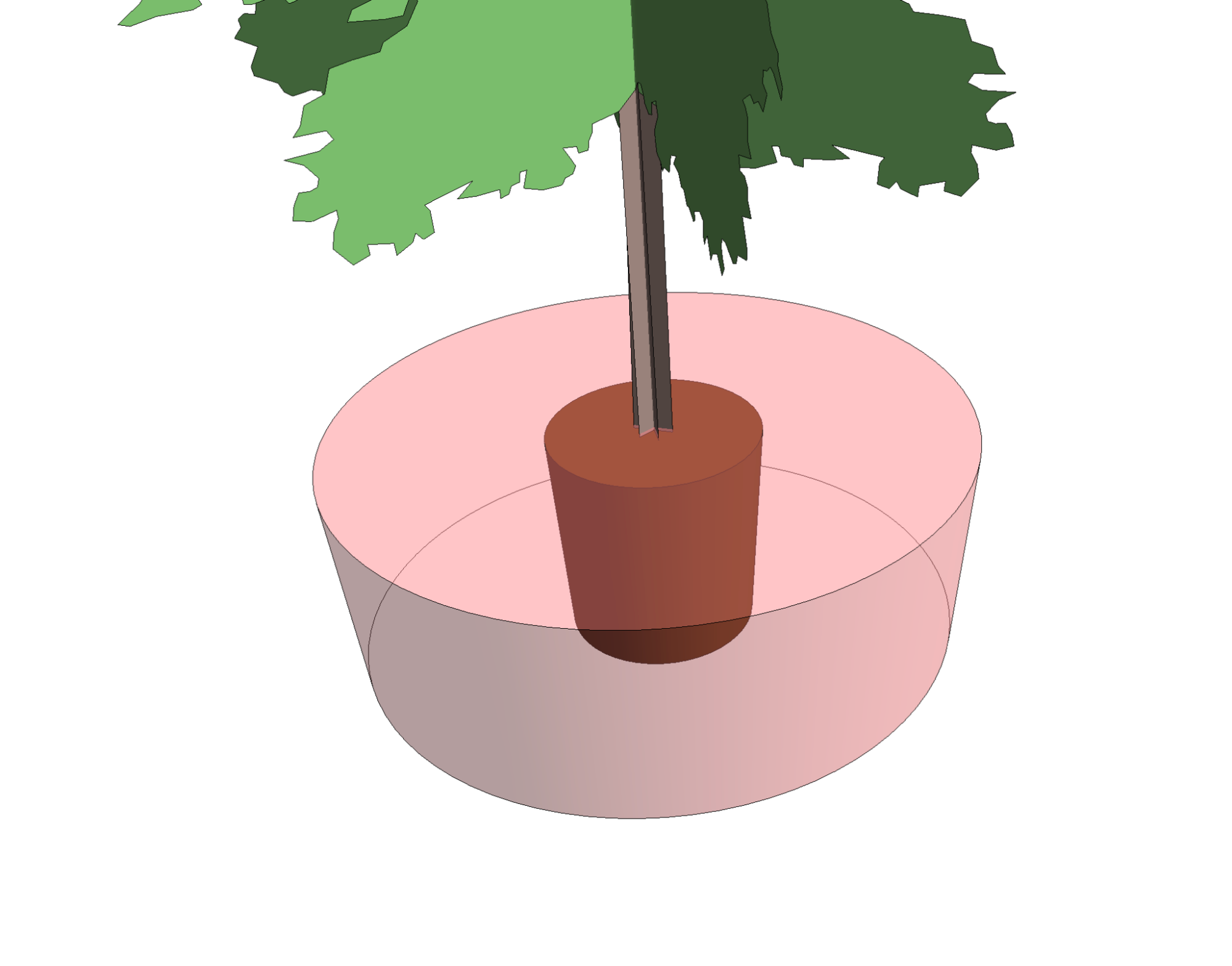 Example of a 2D pot rootball