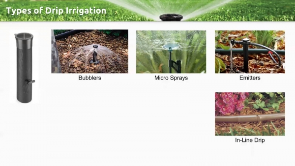 Drip Irrigation